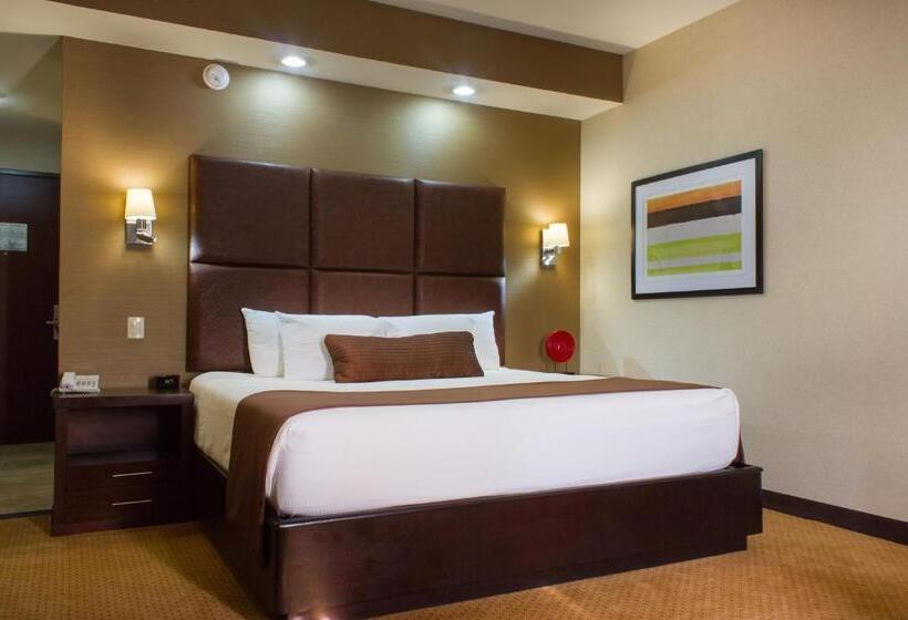 اتاق استاندارد با تخت بزرگ, Best Western Premier Monterrey Aeropuerto