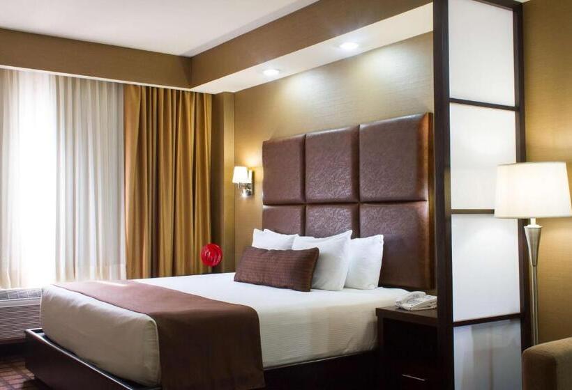 اتاق استاندارد با تخت بزرگ, Best Western Premier Monterrey Aeropuerto