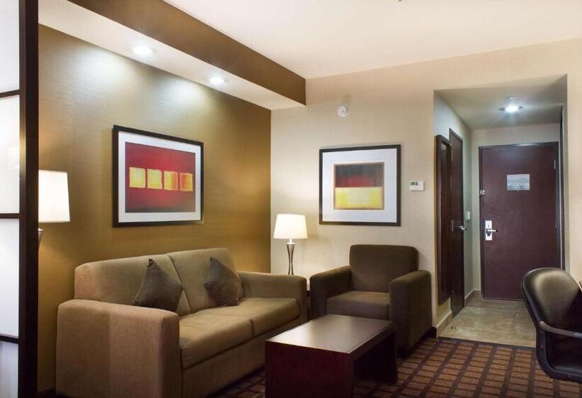 اتاق استاندارد با تخت بزرگ, Best Western Premier Monterrey Aeropuerto