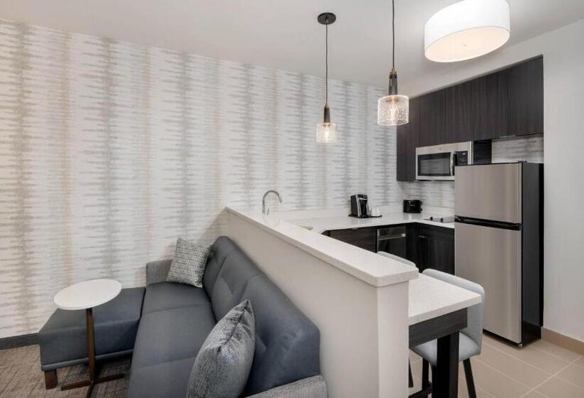 Suite Cama King, Residence Inn By Marriott Indianapolis Keystone