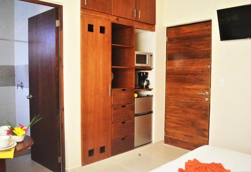 استودیوی استاندارد, Arrecifes Suites
