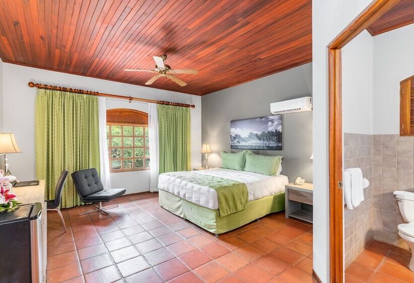 Номер Superior Кровать Кинг, Villa Del Sueno