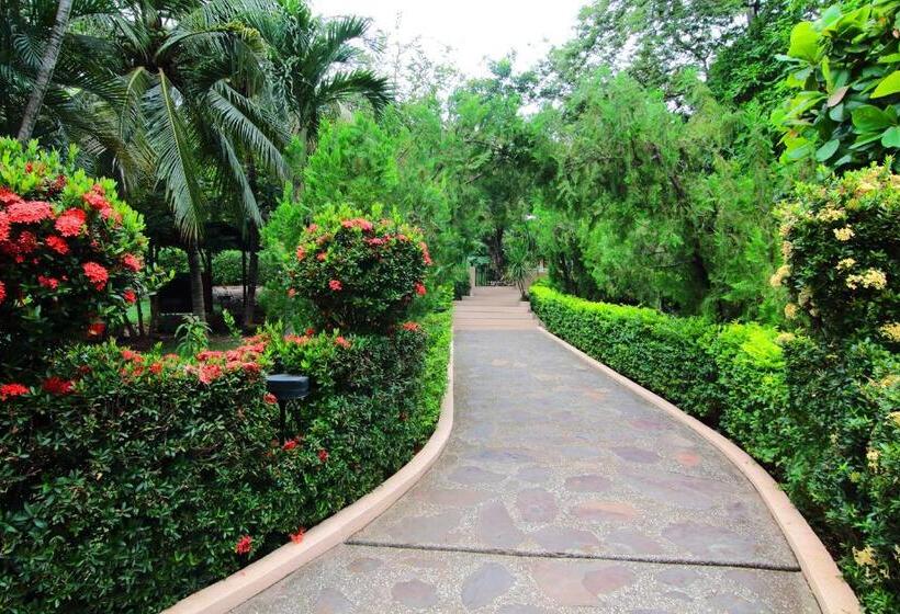 Номер Superior Кровать Кинг, Villa Del Sueno