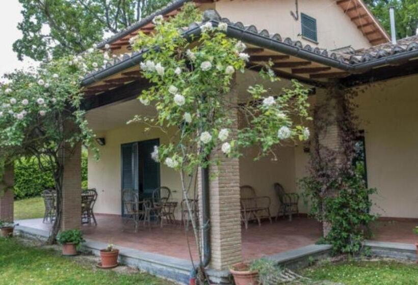 חדר סטנדרט, Agriturismo Tognoloni
