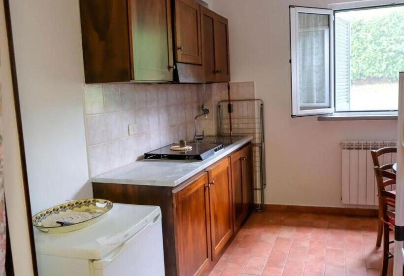 חדר סטנדרט, Agriturismo Tognoloni