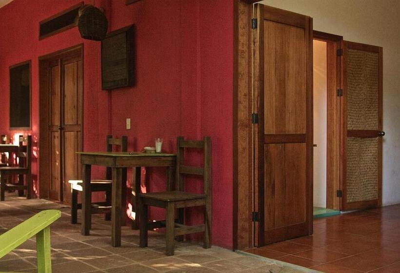 ベーシックルーム, Posada Paloma