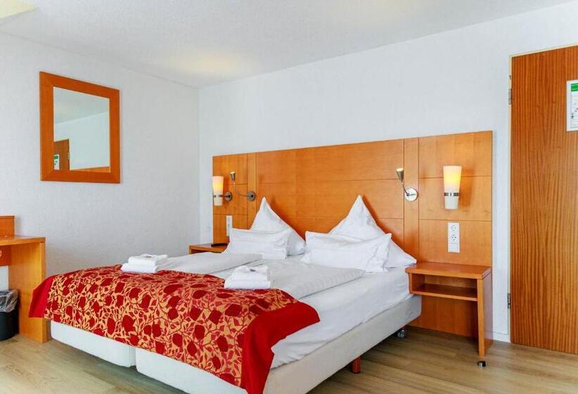 스탠다드 룸, Bodensee Hotel Kreuz
