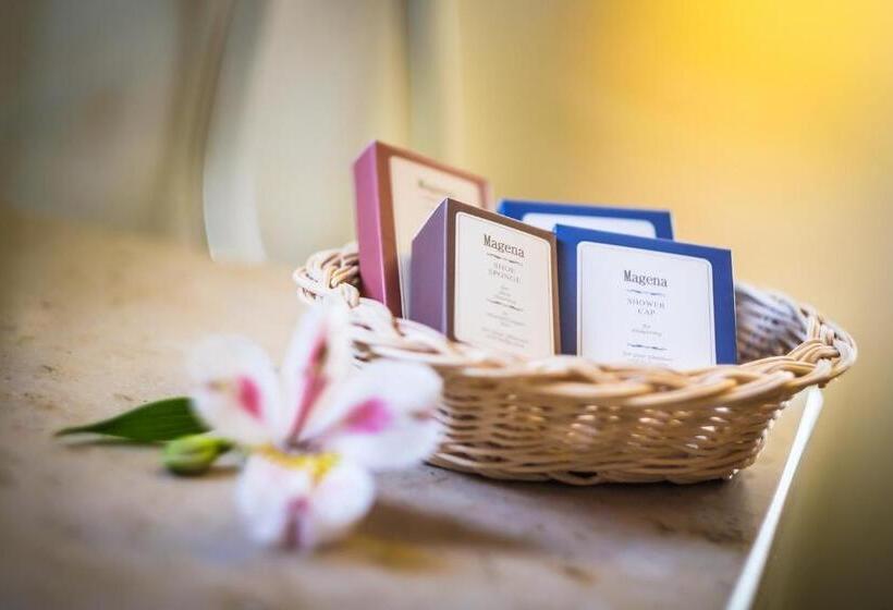 اتاق استاندارد, Zenit Wellness Hotel Balaton