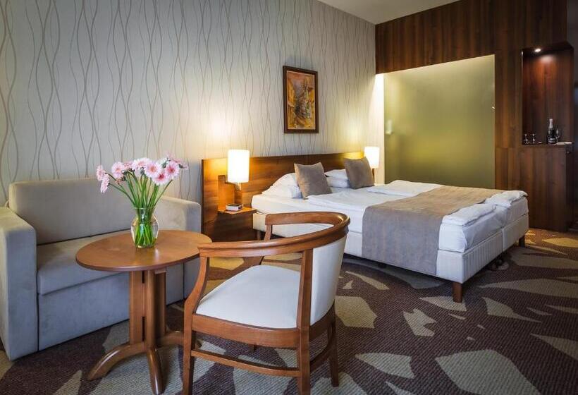 اتاق استاندارد, Zenit Wellness Hotel Balaton