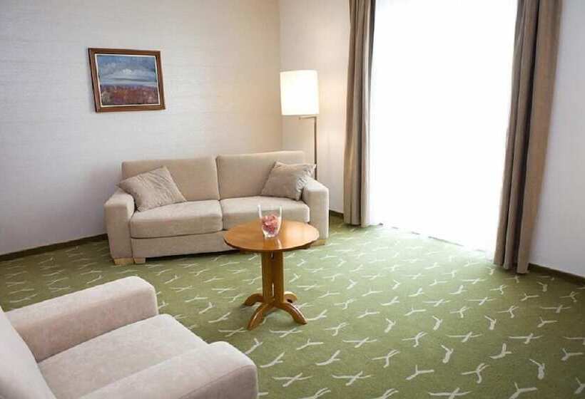اتاق استاندارد, Zenit Wellness Hotel Balaton