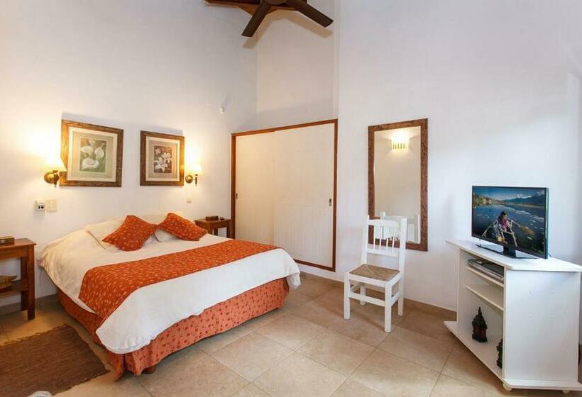 آپارتمان سوپریور 1 خوابه, Cabañas La Mandrágora