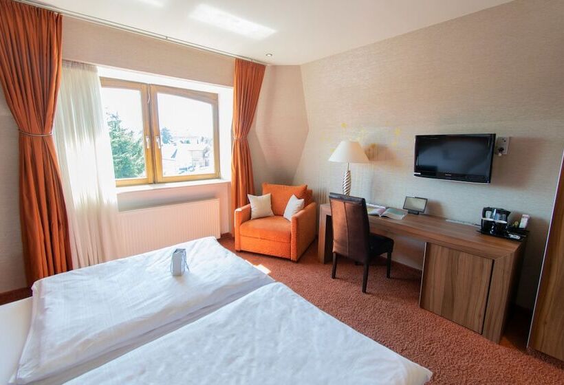 豪华房间, Art Hotel Braun