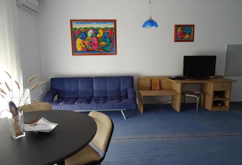 آپارتمان 1 خوابه با بالکن, Club Onix Apartments