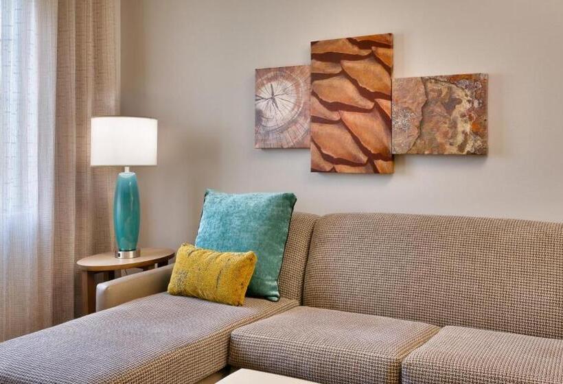 장애인을 위한 킹사이즈 침대 스탠다드 룸, Staybridge Suites   Gainesville I 75, An Ihg