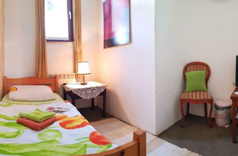 اتاق استاندارد یک نفره, Hostel Pansion Lion