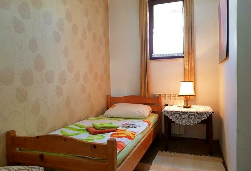اتاق استاندارد یک نفره, Hostel Pansion Lion