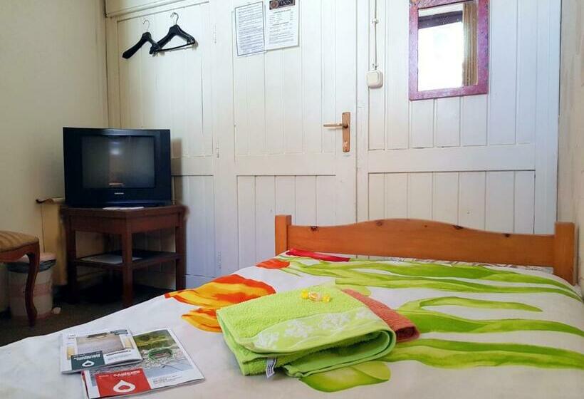 اتاق استاندارد یک نفره, Hostel Pansion Lion
