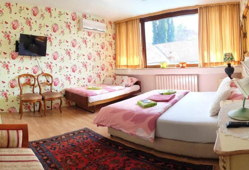اتاق لوکس سه تخته, Hostel Pansion Lion