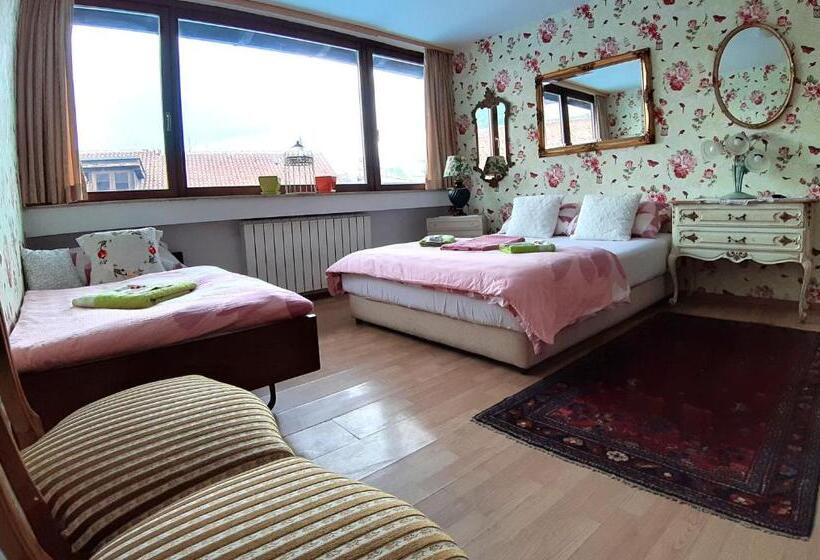 اتاق لوکس سه تخته, Hostel Pansion Lion