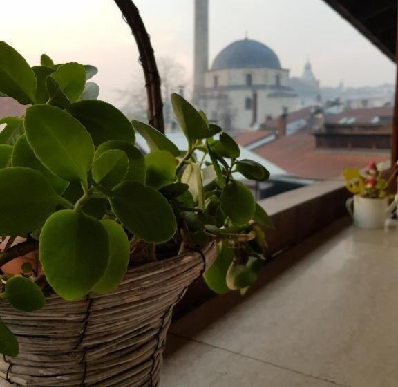 اتاق استاندارد چهارنفره با بالکن, Hostel Pansion Lion