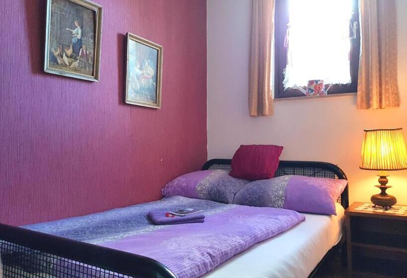 اتاق لوکس یک تخته, Hostel Pansion Lion