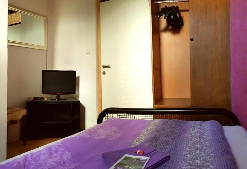 اتاق لوکس یک تخته, Hostel Pansion Lion