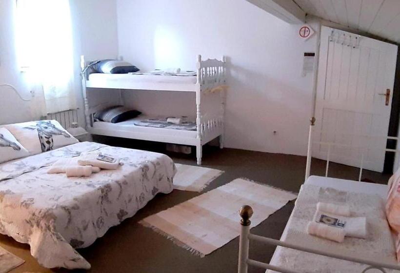 اتاق لوکس خانوادگی, Hostel Pansion Lion