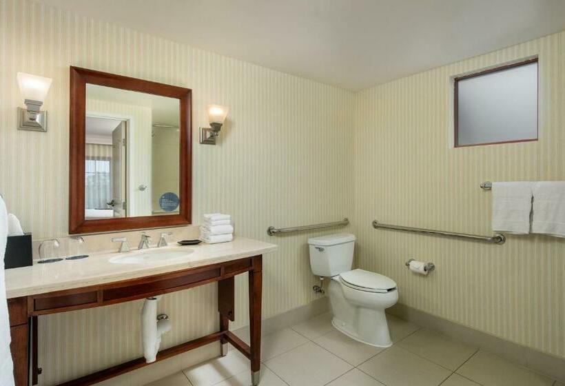 اتاق کلاسیک با تخت دونفره, Sheraton Carlsbad Resort & Spa
