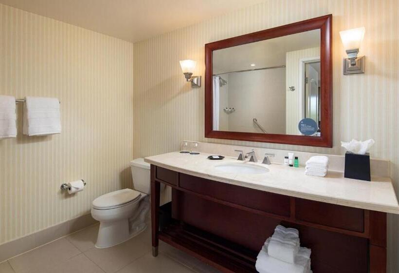 اتاق کلاسیک با تخت دونفره, Sheraton Carlsbad Resort & Spa