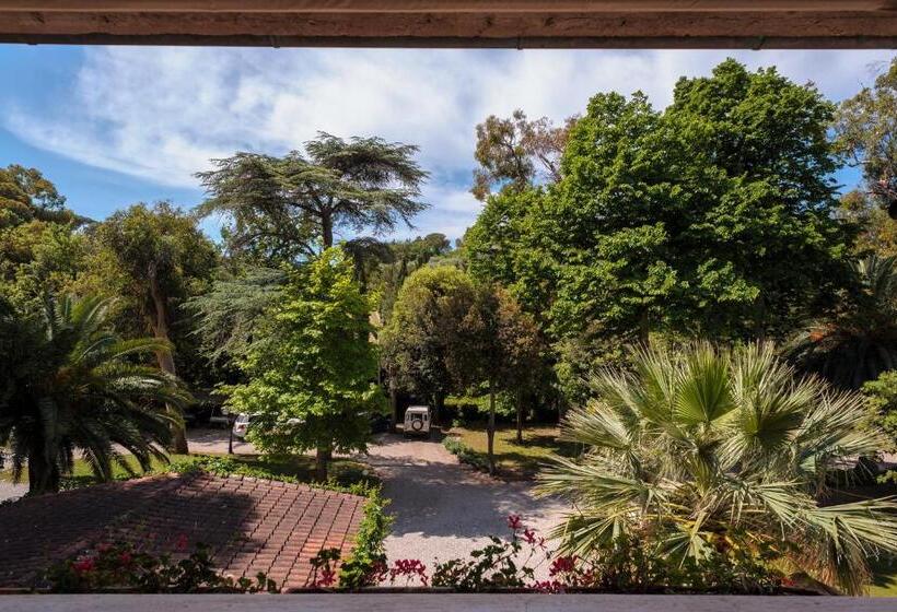 اتاق کلاسیک, Villa Ottone