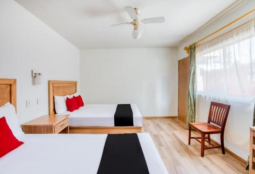 اتاق استاندارد, Capital O Gran Hotel Campestre