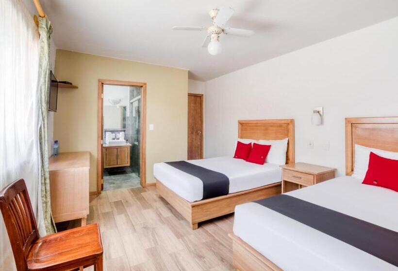 اتاق استاندارد, Capital O Gran Hotel Campestre