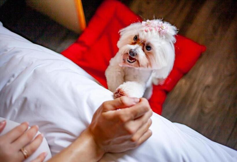 베이직 룸 더블 침대, Ibis Criciuma