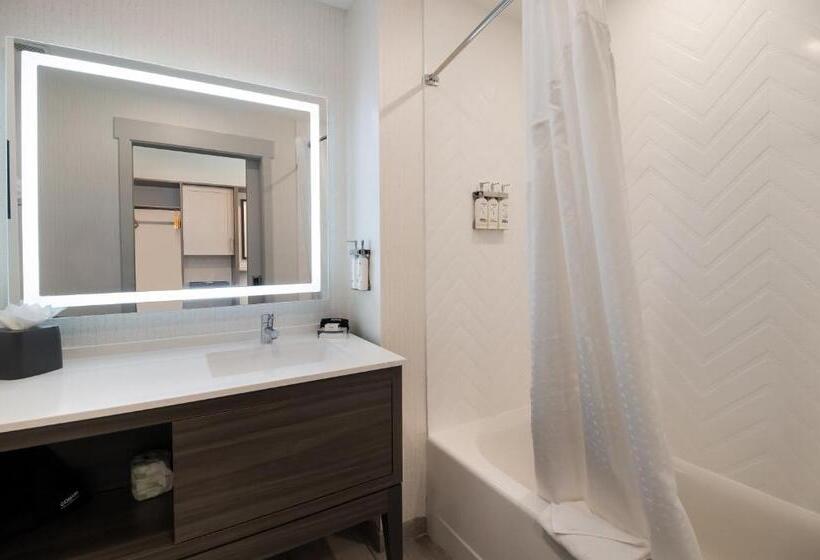 适合残疾人士使用的套间, Holiday Inn & Suites   Mt Juliet Nashville Area, An Ihg