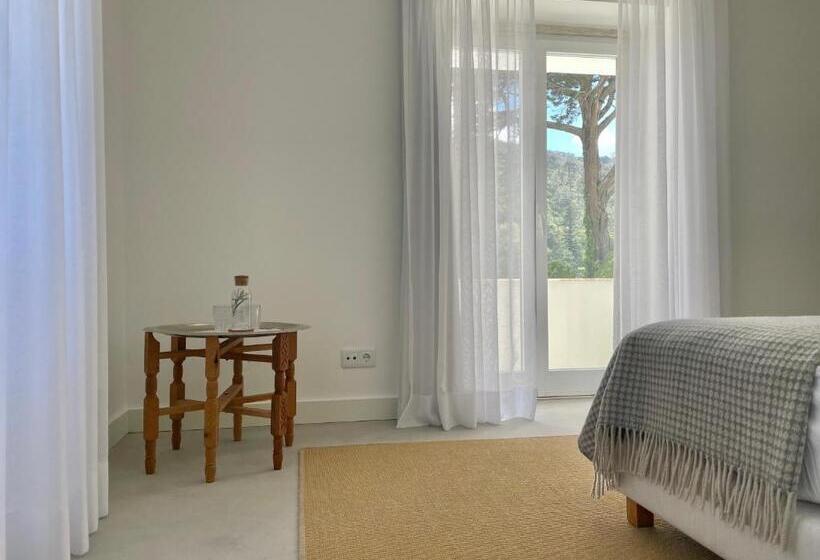 Номер Стандарт с Террасой, Cedros Nature House