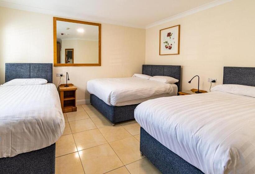 اتاق استاندارد چهار تخته, Aisling Guest House