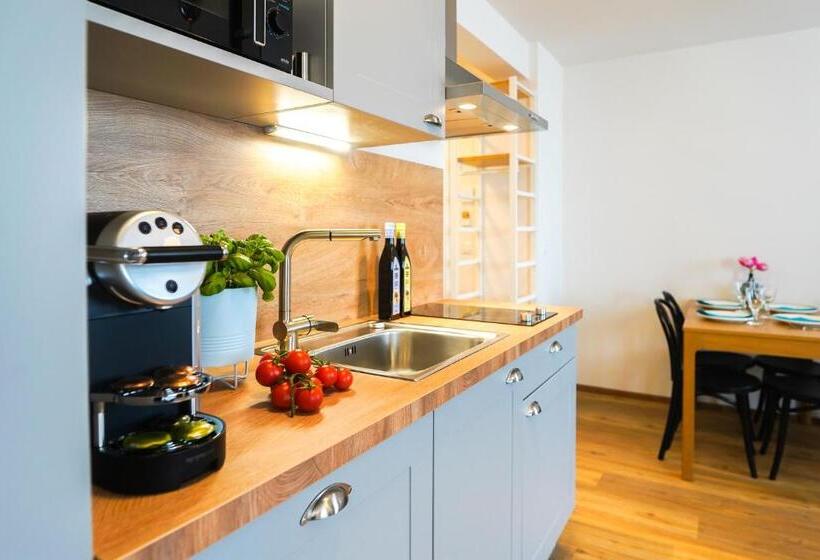 스탠다드 스튜디오, Citadines South Vienna