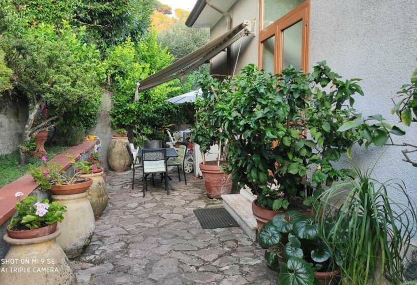 Номер Стандарт, Golfo Dei Poeti