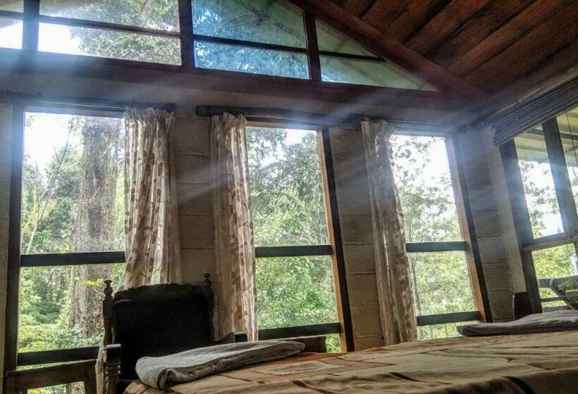 خانه 1 خوابه, Jungle Jive Tree House