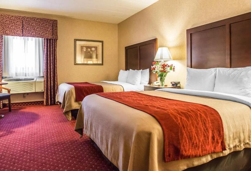 Номер Стандарт, Comfort Inn Pocono Lakes Region