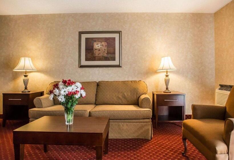 Люкс Кровать Кинг, Comfort Inn Pocono Lakes Region