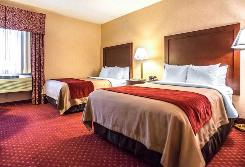 Номер Стандарт 2 Двуспальные Кровати, Comfort Inn Pocono Lakes Region