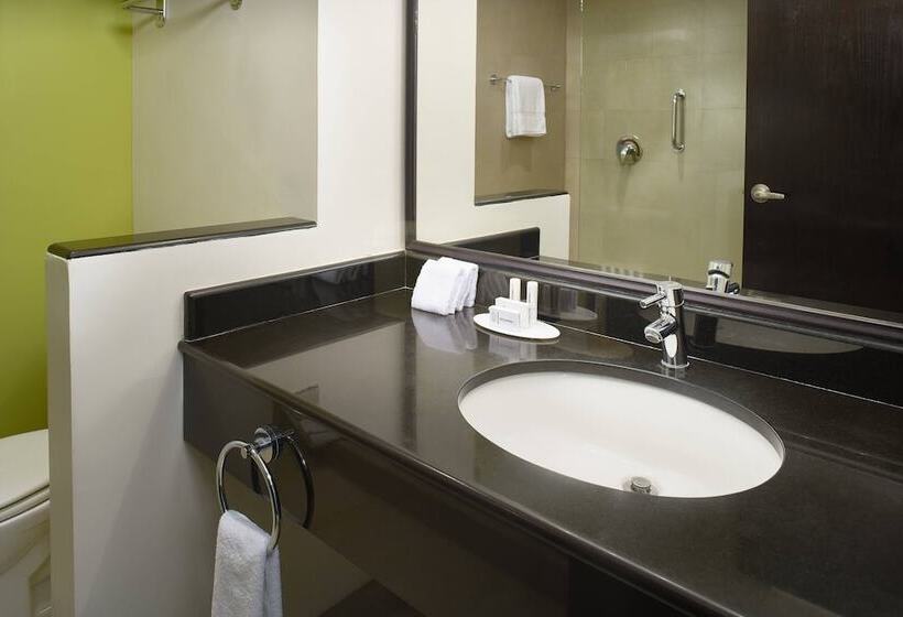 חדר סטנדרט שתי מיטות זוגיות, Fairfield By Marriott Los Cabos