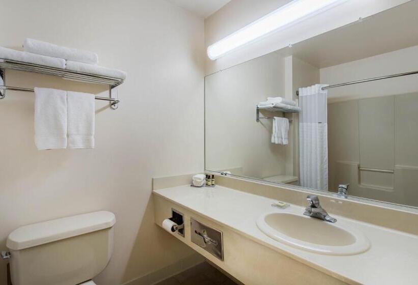 Номер Deluxe Адаптированный для Инвалидов, Hawthorn Suites By Wyndham Allentownfogelsville