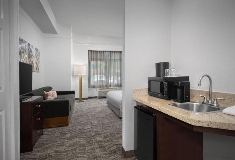 Люкс Кровать Кинг, Springhill Suites By Marriott Portland Vancouver