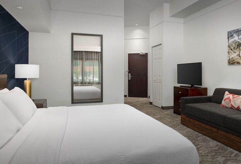 Люкс, Springhill Suites By Marriott Portland Vancouver