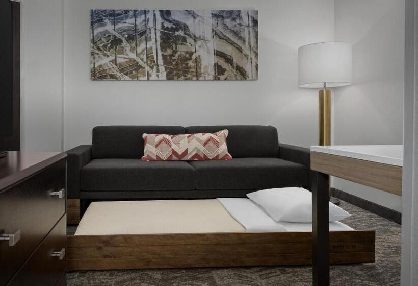 Люкс Кровать Кинг, Springhill Suites By Marriott Portland Vancouver