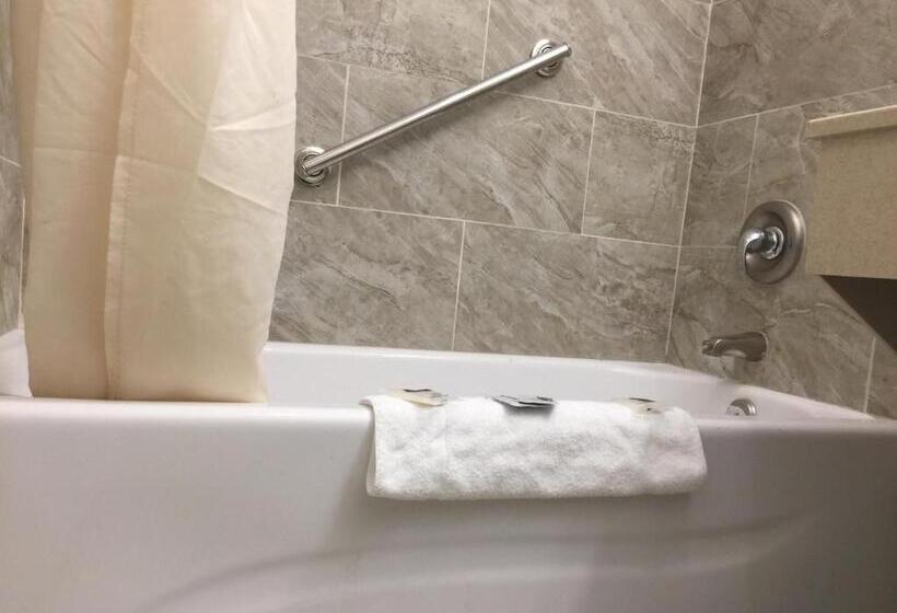 디럭스 스위트 킹 침대, University Inn Chico
