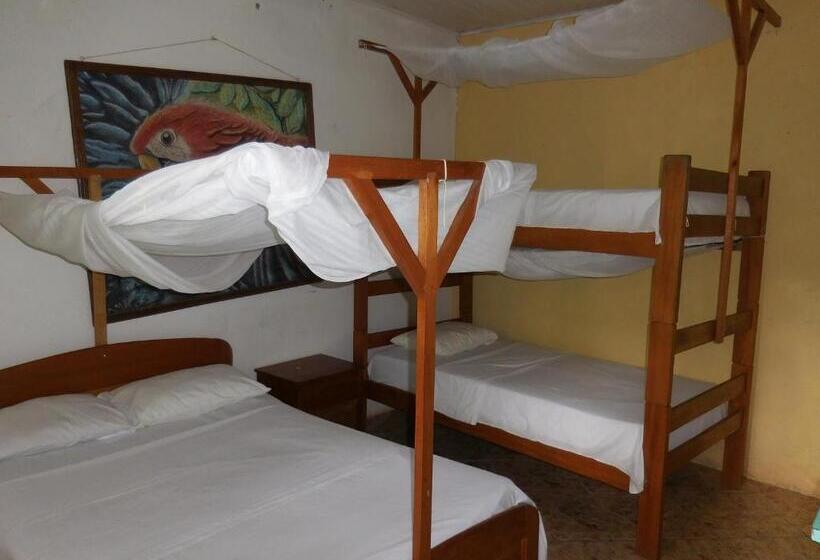 اتاق استاندارد با سرویس بهداشتی مشترک, Tambopata Hostel