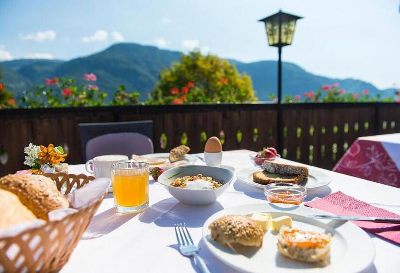 Номер Стандарт, Pension Stamserhof